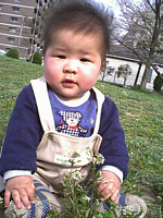 ؂؂񑐂؂؂񂵂ẮD