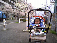 Ƃ̂΂̒ʂ͍ǂĖOĂ񂾂I