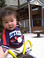 うさぎちゃんにのってるの