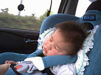 Ԃ̐UĖU񂾂ȁ`.(-_-).oOn ީީ