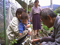 じいちゃんが水をくれてるのが僕の誕生記念のぶどうの苗なんだって.僕と一緒に大きくなるんだよね.