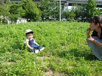 ܂܂̃V{ʖl̂ق܂ŗ邩?