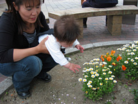 お花取らせて〜!(まま:おちる〜!やめてくれ〜!)