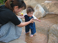 ĂLꂪĖʔ́DĂɂȂ܂悤ˁD