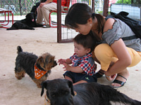 ɂĂȂ߂ꂿ񂾁Dl̎Ă?