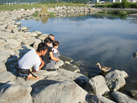 񗈂ĂꂽǁClĂȂDƂǖl͐HׂȂD