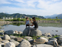 傫Ȑ΂̏ɗāCȒ叫D