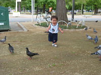 Ƃ肿Ƃ肿Cǂ悤I(Ff`.j