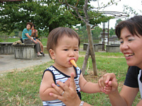 肭Ƃ肿ɕϐg܂.V̒F肭Ƃł