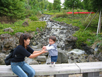 nCEFCIAVX̌Őɓ肽Ă.C܂܎͂Ȃā`I