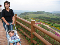 iFԂꂢȂ̂ɗ͂.(-.-)yzzz