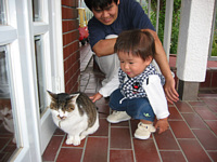 yV̔L߂̂ŁCŌɂ͕|ēႤ悤ɂȂ.ۂƂŃSl.