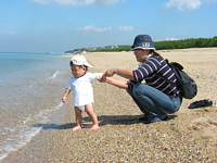 ܂܁F`.肭FƊCɓėVԂ́I