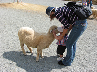 r͑傫˂ēːi邩炿ƕ|`.