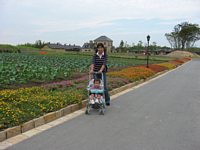 uCOh̋uv͂ꂢȂԂςŋCƂ.ɂ܂悤.