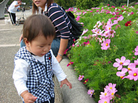 RXXɂ炵.Sl,ĂꂢȂ񂾂.