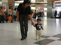 V̉DOĂC܂܂ɘA߂ꂿDD