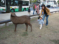 Ƒ҂Ă,G炵Ă悧.(FłāCׂȂł?j