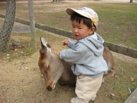 ˂˂CVڂĂ΂.iFƂ˂Dj