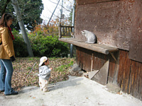 L񓦂Ȃł`.ꏏɗVڂ`.(LF₶`.j