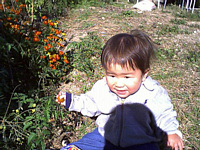 ~jg}gE񂾂.n̊т̏Ί.