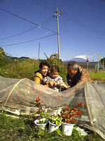 xmƌnǂ肫ꂢɕxmRĂł?