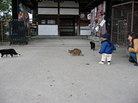 ɂɂ牽Ŗl߂ÂƓႤ̂?