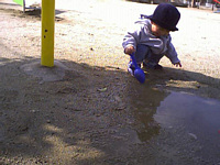 ɍ𓊂āA˂̂y悤ŁA΂Ȃ炸ƂĂDAĂ󂾂ȂD