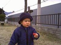 Ԃ؂痎ĂĂDɂ?SzႤD