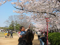 ̂ԂƂ肽.܂܁CƂ`āI