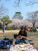 ƍobNɉ̏Ă΂HׂĂ܁`DiFĂ΂I