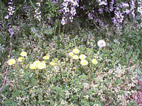 t̂Q@ۂ(ŋ߂̂肭̂CɓC悭Eł͓肵ėVł܂)