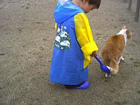 ɂɂ̂ۂXRbvɏ悹Ă݂񂾂,܂Ȃȁ`D(LFƂƂł...)