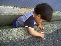 Ȃ͂Ƃɓ荞ނ̂D.ƂCƂ̕񂩂?