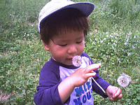 ۂہCՁ[[IƌȂSoĂȂ̂,ǖȖт͎łނƂ̂ł.