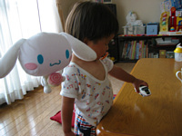 ꂪ̓VG,₨FB̃ViłD