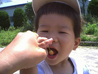 ڐHׂĂ݂悤?i܂܁F߂ā`IjłDHׂ܂˂D