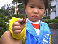 ȉJ̓ɊOŎUĂ͖̂lƃJ^c񂭂炢.܂Ȃ́D