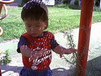 ̉ɓ,lȂʖ͗lɂȂ񂾂.ł,ȂȂႤ.svcI?