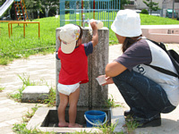 ͂IcŐV.㒅тт傾ǂˁD