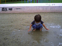 ̂荞ł܂,܂łقǐ΂΂D