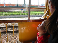 rkɏ.ہ`Iđ傫񂾂,т肵ĂJ.