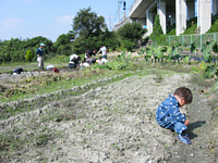 F撣Ĉ@Ăƌ̂,l֌WȂƗVłq܂.