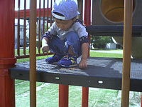 ̌炱Ė_؂𗎂ƂE肷̂D.͂AȂ̂ł悭Ă܂D