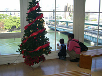 킟`,傫삾.Ƃ肿␅oXςˁDx͂Dɏ낤?