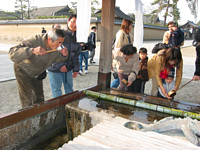 lĂƂŎ.Q͂ǂĂ邩Ă񂾂