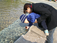 ̕ŏڂ𐅂ɓėV񂾂.