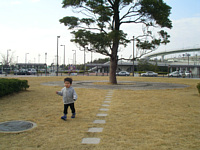 ^̑؂̂΂΂EĂ͂ɎĂ̌JԂ.I肪i--;j