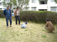 Ƃ΂ƎŐłԂE,U,O͊y.