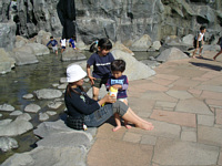 岩がごつごつあって恐かったけど,楽しんで水遊びできました.